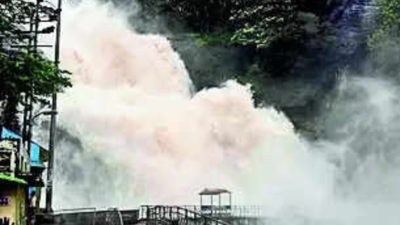 Heavy rain continues to lash south Tami Nadu; bridge washed away