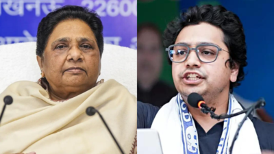 'Still under influence': What led to Akash Anand's expulsion from Mayawati's BSP