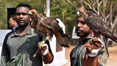 ‘Pushpa’ joins India’s only avian squad trained to hunt drones