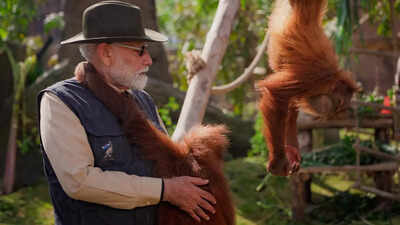 PM Narendra Modi’s Vantara sojourn- Anant Ambani’s wildlife haven
