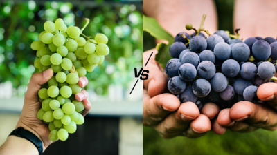Green grapes vs black grapes: Which one is healthier?