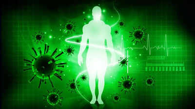 Hidden immune system part uncovered by scientists and it could crush antibiotic resistance