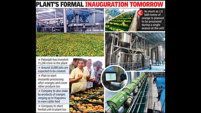 Orange rates up 40% before Patanjali starts processing plant: Balkrishna