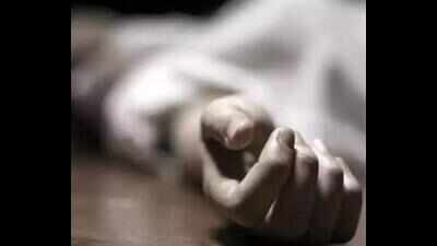Chhattisgarh farmer dies by suicide as frequent power cuts leave fields parched