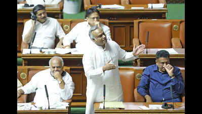 Govt omits local firm in guarantee scheme audit list, faces heat