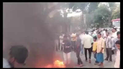 Carcass of elephant found in Arkalgud farmland
