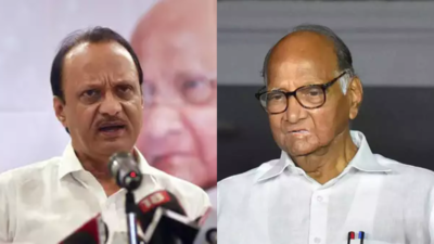 Sugar mill poll: Maharashtra's Baramati may see Pawar vs Pawar yet again