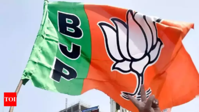 'Sangathan Parv': Delhi BJP set for organisational revamp after poll win