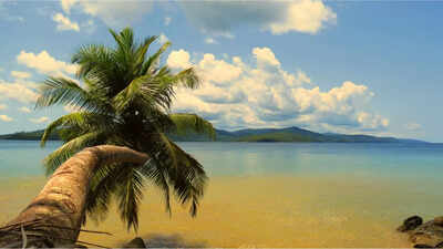 From Andamans to Majuli: Best and unique Island getaways in India