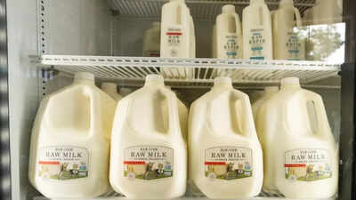 Do you consume raw milk? Here are some compelling reasons to avoid it