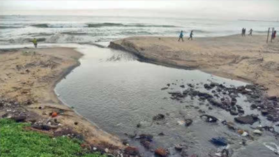 ‘50% of sewage in Maharashtra flows into rivers untreated’