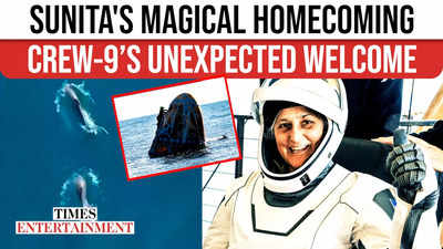 Sunita Williams’ Return Gets An Unexpected Welcome; Dolphins Steal The Show