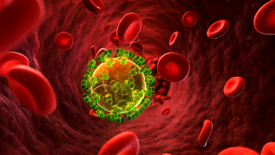 What are neglected tropical diseases and why it is important to control them