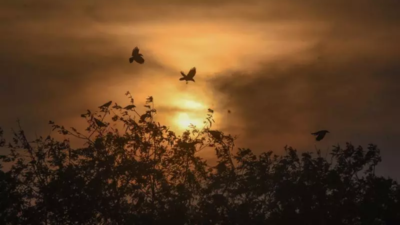 Mild relief from heatwave-like conditions as mercury drops