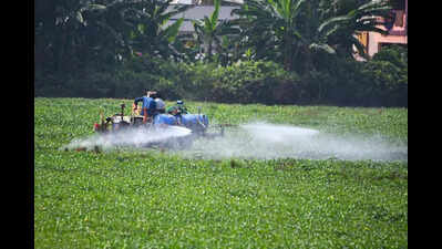 Progressive farmers to be honoured at PAU Kisan Mela