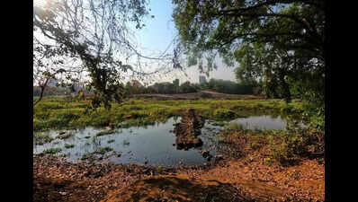 Green Haven Under Threat, Push To Save Devrai Grows