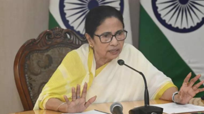 Before UK visit, CM Mamata Banerjee forms Group of Ministers, task force