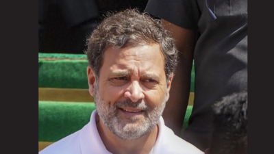 'Politically unfit, dolt': BJP slams Rahul Gandhi over merit remark, Karnataka quota