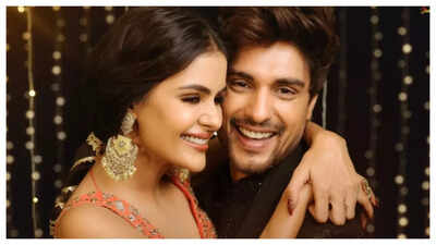 Ankit Gupta confirms exit from Terre Ho Jaayein Hum with Priyanka Chahar Choudhary amid breakup speculations; says 'I need some time for myself'