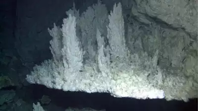 120,000 years old city unearthed in the depths of Atlantic ocean in shocking discovery