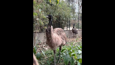 State zoo receives 15 new species through animal exchange