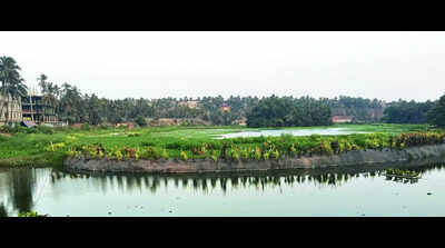 Floating garden first step to clean Maimollem lake