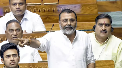 SC intervening in matters that it shouldn't, says BJP MP citing crypto & online gaming cases