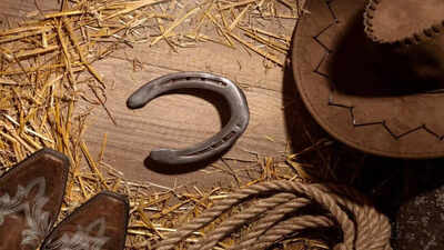 Why do people place Horseshoe at the entrance for Good Luck