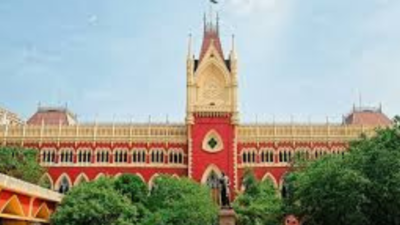 Was gang-rape angle considered in RG Kar case, Calcutta HC asks CBI