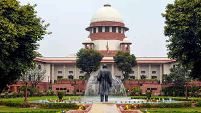 SC takes suo motu cognisance of controversial Allahabad HC's 'grabbing breasts not rape attempt' order