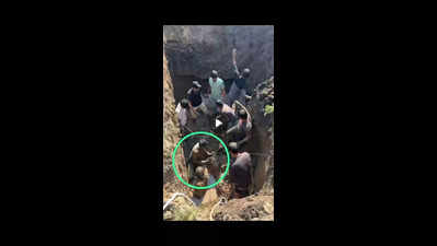 IIT-D prof charged with negligence in PhD scholar’s death at Lothal