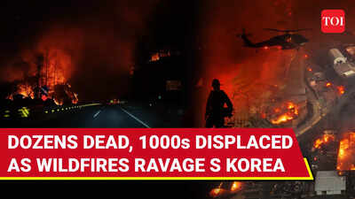 South Korea Wildfires: Apocalyptic Scenes On Cam; Dozens Killed, Chopper Crashes | Blaze Burns Japan