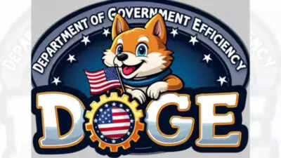 Elon Musk’s 19-year-old DOGE team member may have had links to cybercriminal group