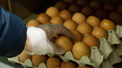 Egg prices to come down? These countries offered to help Donald Trump after the US faced rejections from Poland, Finland, and Denmark