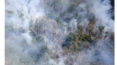 Northern Thailand battles raging wildfires as air pollution soars to hazardous levels