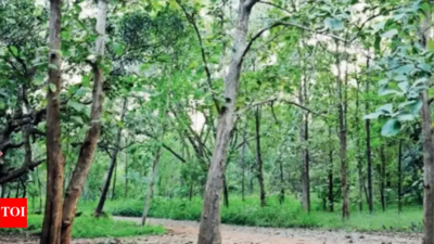 Project to transform neglected land in Hubballi into a vibrant tree park