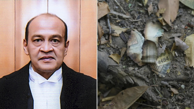 Judge probe: Lens on role of cops, first responders
