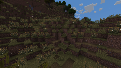 What is Firefly Bush in Minecraft