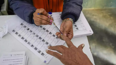 Fake election officials allegedly tilted Panchayat poll results, losing candidate demands probe