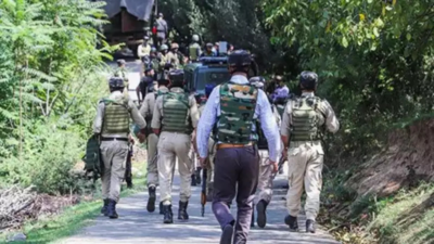 J&K police role in Jammu region crucial as terrorists resort to jungle warfare