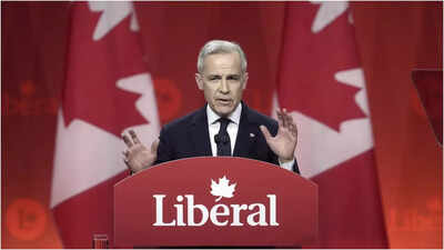Canadian PM Mark Carney faces bizarre Epstein question: 'How many kids did you...?'