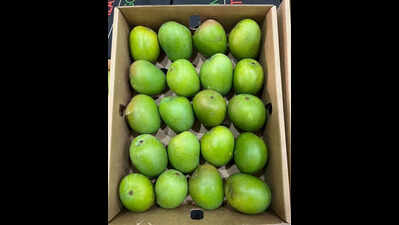 Heat, lower price & credible sourcing push up online mango sales