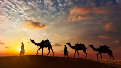 Why Rajasthan Day is changing calendars
