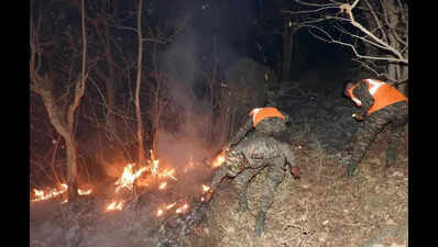 Army douses forest fire in Mount Abu
