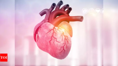 ‘AI can calculate the heart’s biological age using ECG data’