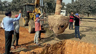 1k trees to shift as Bengal’s largest translocation project takes shape in Deocha Pachami