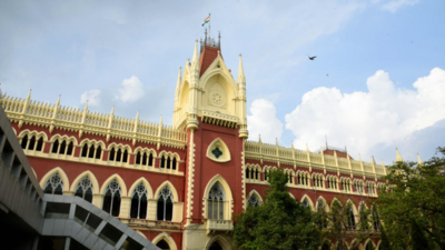 'Can’t be a dumping ground’: Now, Calcutta HC lawyers protest Delhi judge transfer