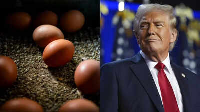 Have egg prices gone down? Fact-checking Trump's 59% price drop claim