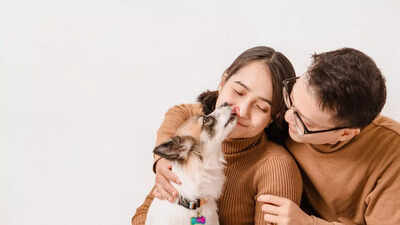 Can a dog’s lick make you lose a limb? Doctor reveals the scary truth about pet saliva