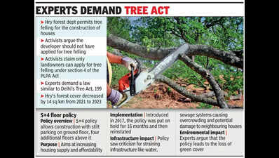 Foresters?nod to tree felling in DLF-1 for four-floor bldgs draws criticism